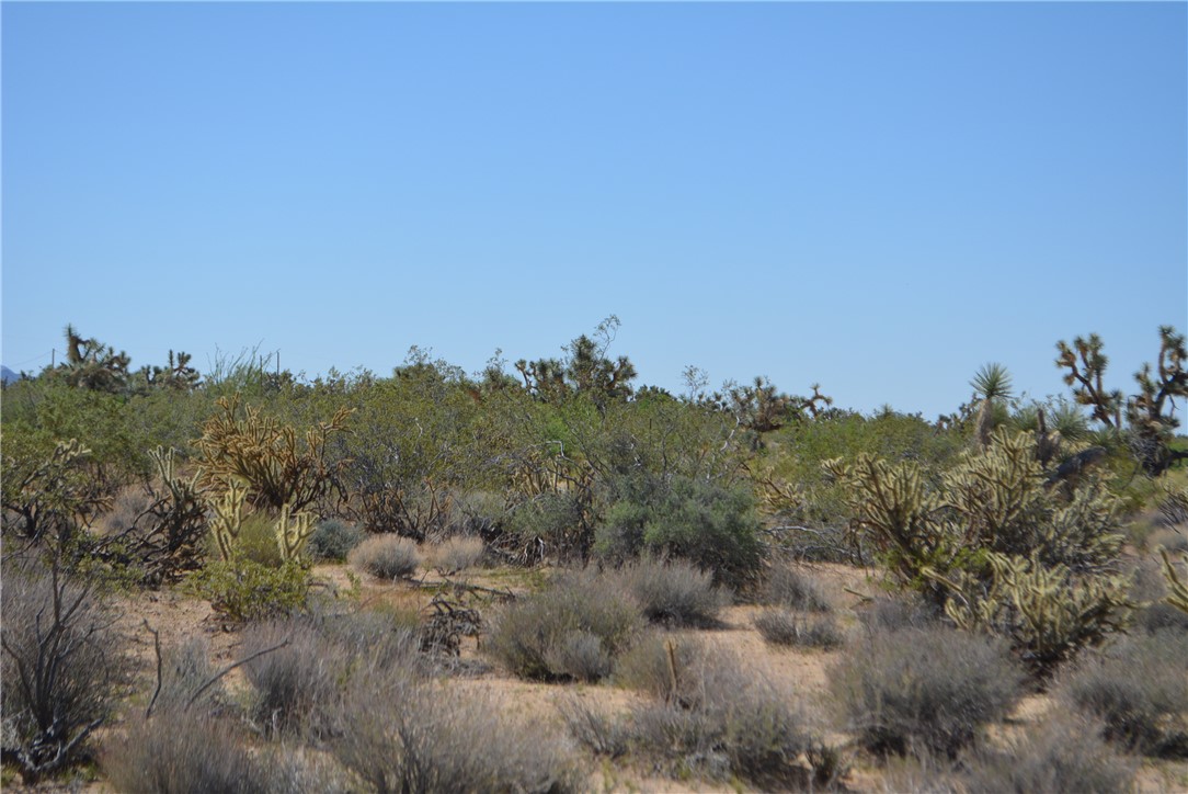 Lot G8 South Alvis Road Yucca, AZ 86438 - Photo 27 of 48 Other