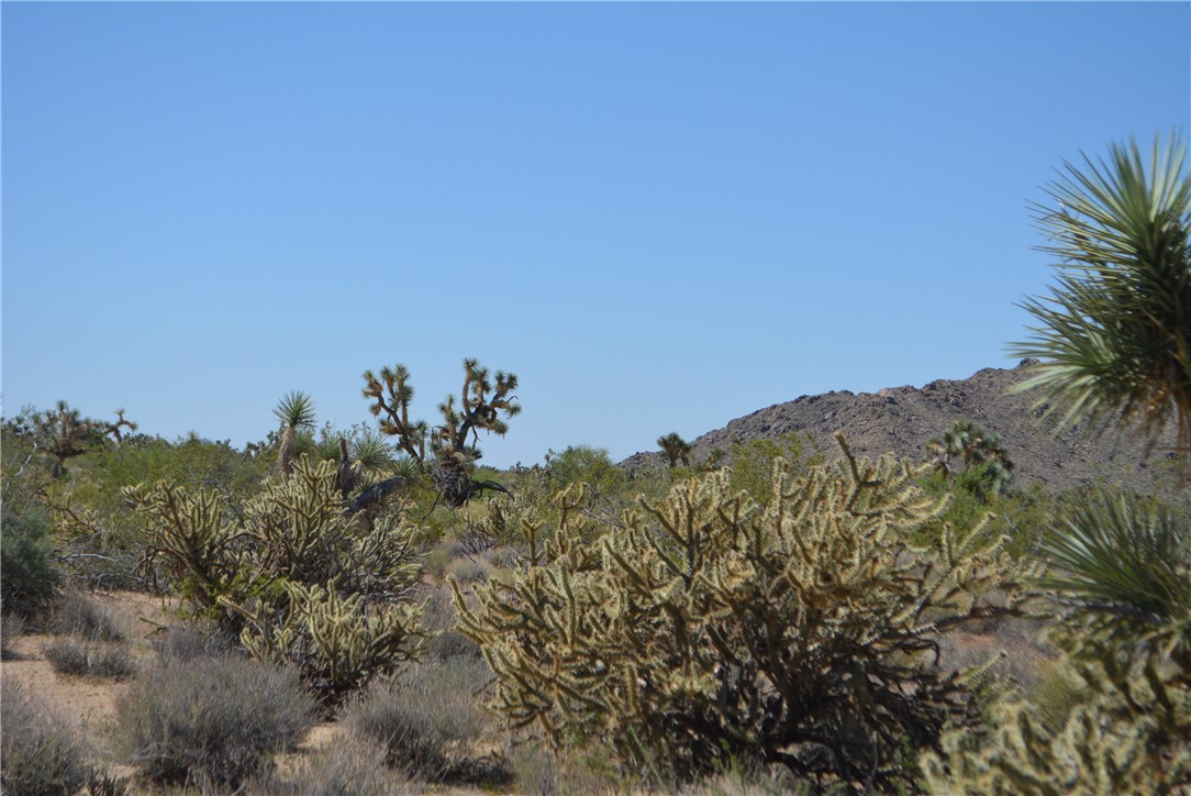 Lot G8 South Alvis Road Yucca, AZ 86438 - Photo 28 of 48 View