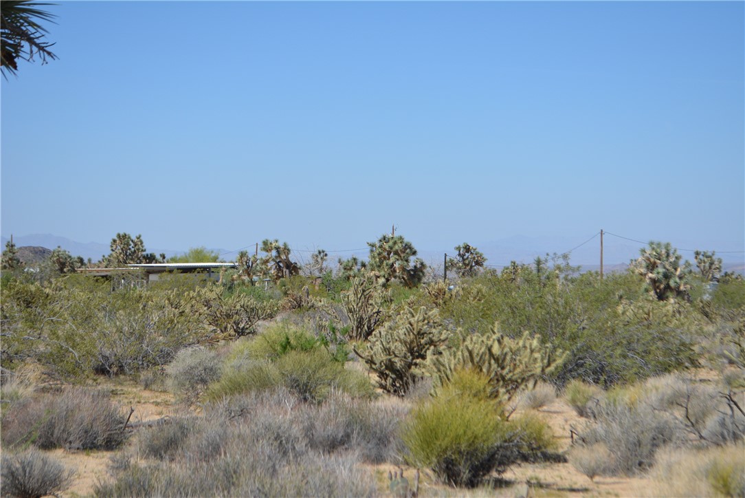 Lot G8 South Alvis Road Yucca, AZ 86438 - Photo 29 of 48 Other