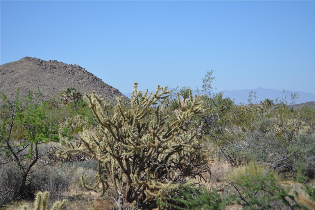 Lot G8 South Alvis Road Yucca, AZ 86438 - Photo 3 of 48 View