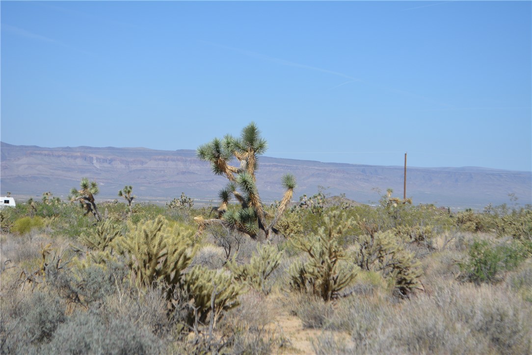 Lot G8 South Alvis Road Yucca, AZ 86438 - Photo 33 of 48 View