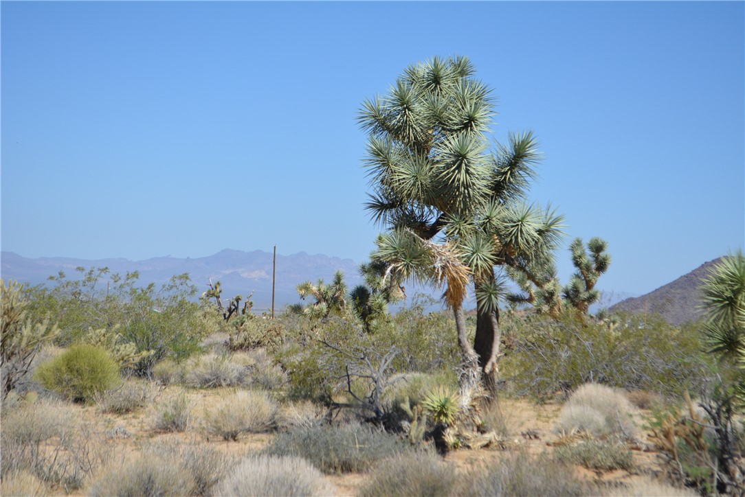Lot G8 South Alvis Road Yucca, AZ 86438 - Photo 36 of 48 View