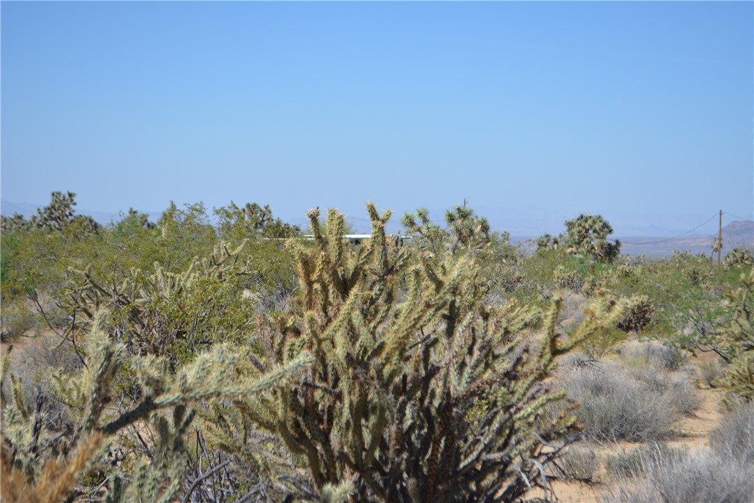 Lot G8 South Alvis Road Yucca, AZ 86438 - Photo 5 of 48 Other
