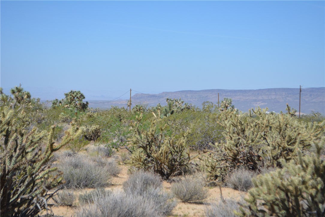 Lot G8 South Alvis Road Yucca, AZ 86438 - Photo 6 of 48 View