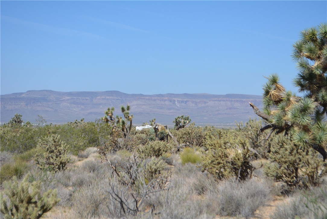 Lot G8 South Alvis Road Yucca, AZ 86438 - Photo 8 of 48 View