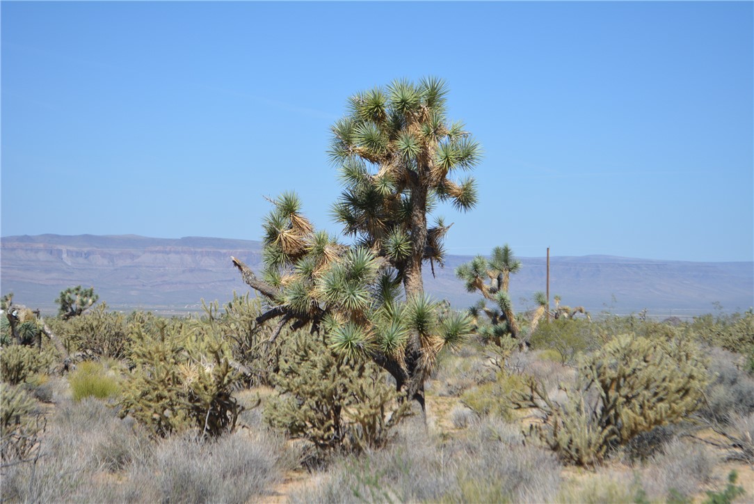 Lot G8 South Alvis Road Yucca, AZ 86438 - Photo 9 of 48 View
