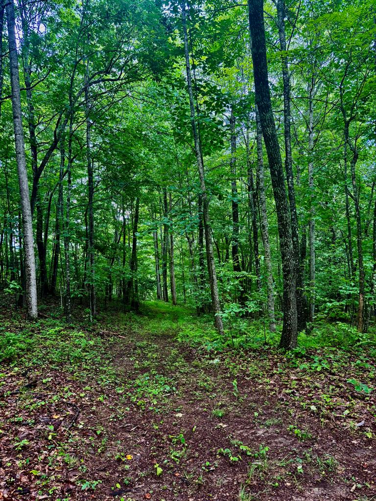 1533 Veterans Road Broadford, VA 24316 - Photo 9 of 42 Gallery Image 9