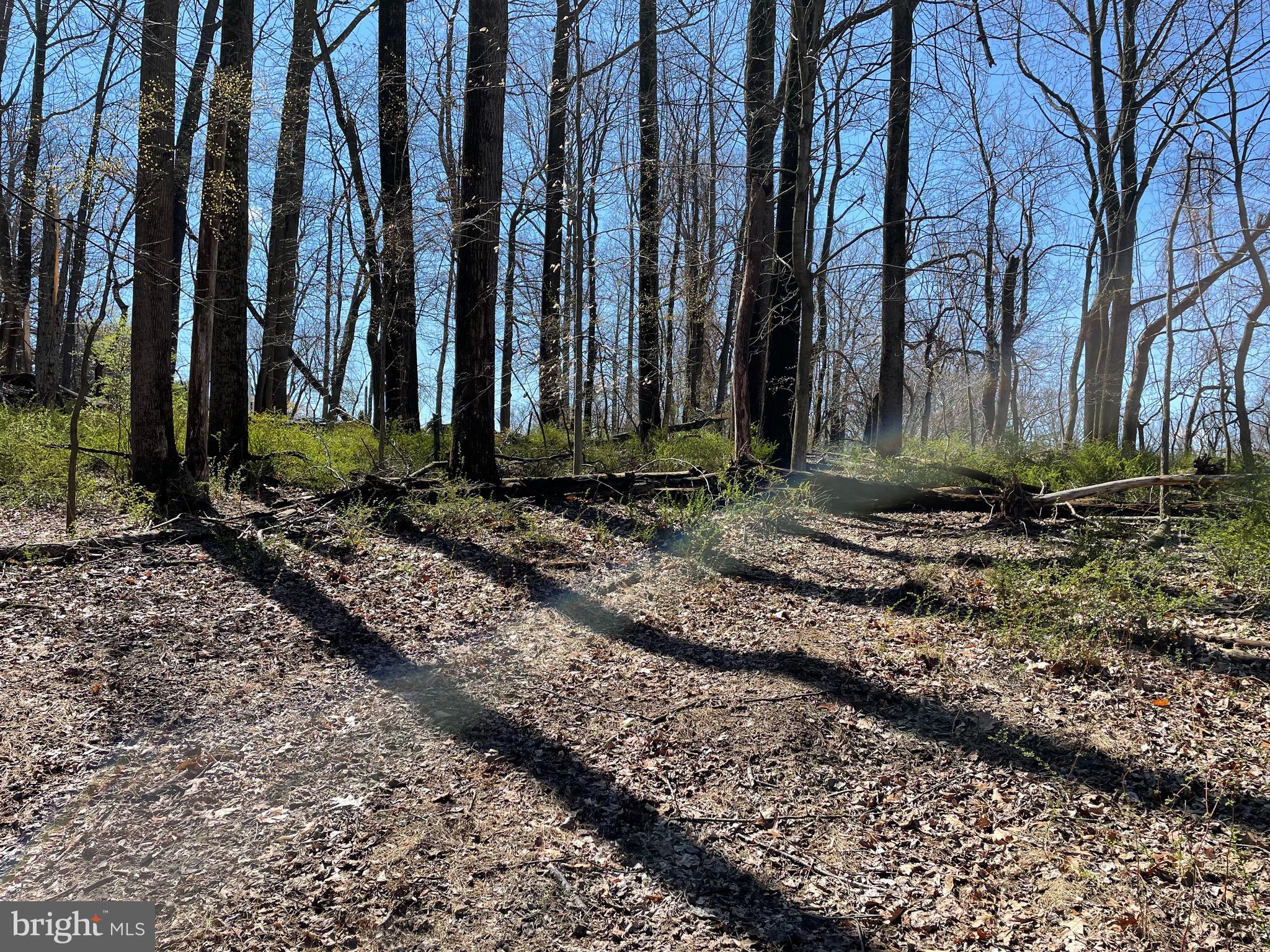 1525 Glencoe Road Sparks, MD 21152 - Photo 8 of 9