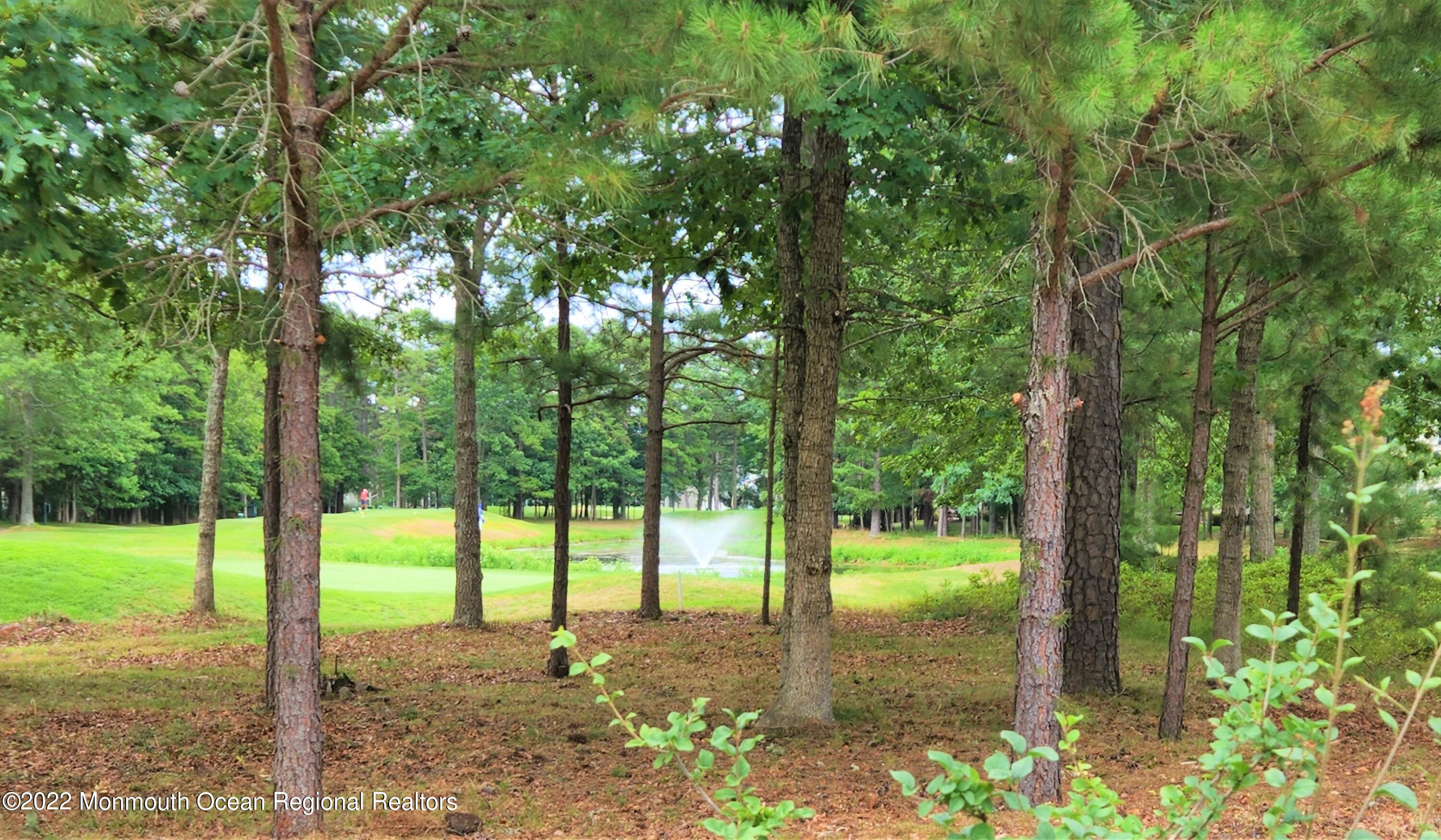 51 Shoal Road Jackson, NJ 08527 - Photo 46 of 66 Back Yard View 1