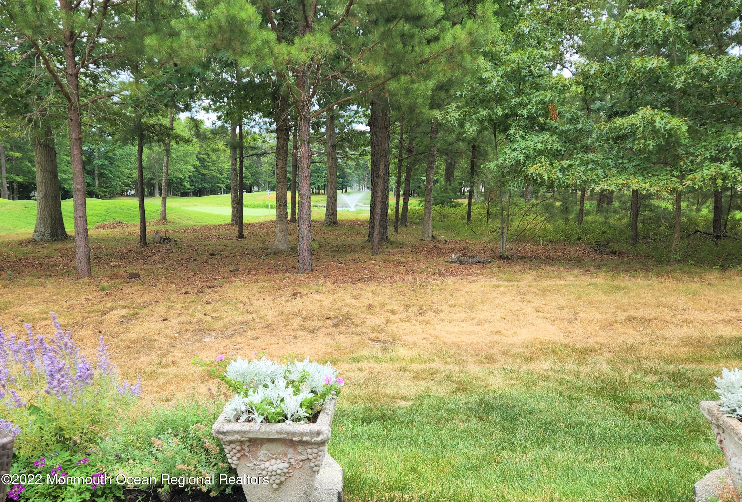 51 Shoal Road Jackson, NJ 08527 - Photo 47 of 66 Back Yard View 3