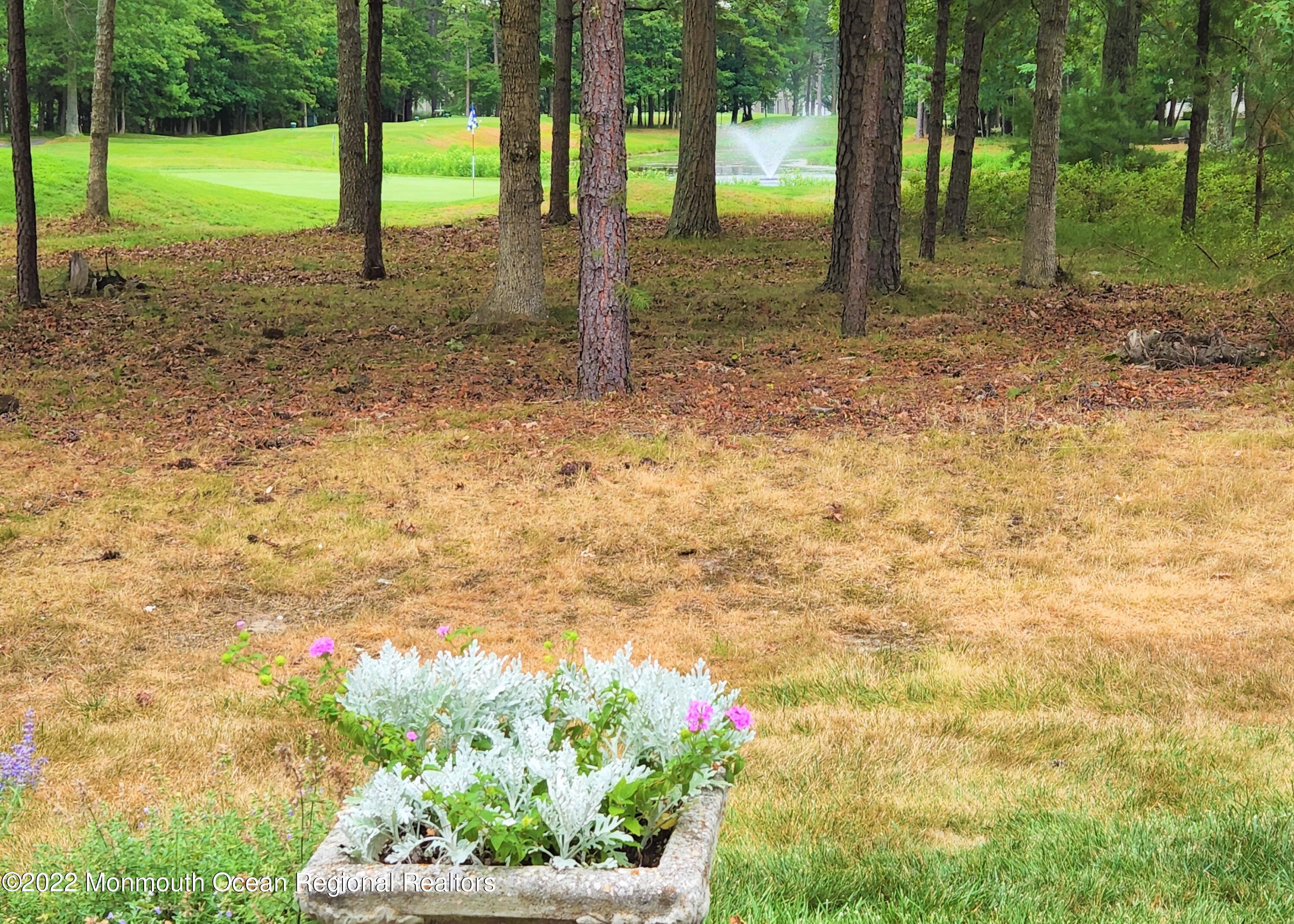 51 Shoal Road Jackson, NJ 08527 - Photo 48 of 66 Back Yard View 2