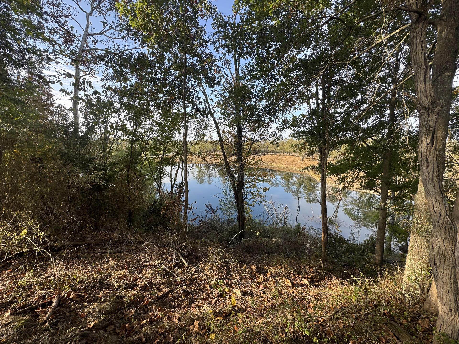 413 Gallipolis Road, Unit CLEARVIEW POND) Oak Hill, OH 45656 - Photo 15 of 88 CT-15