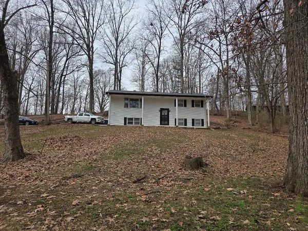 a view of house with a yard