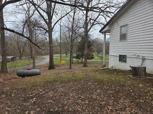 a view of a yard with a tree