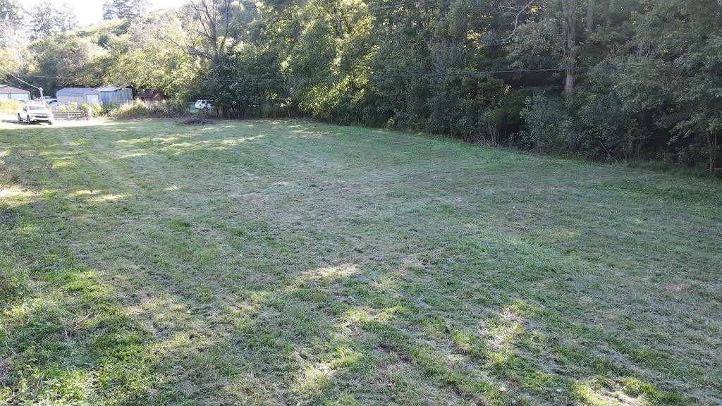 0 Reagan Branch Road Seymour, TN 37865 - Photo 18 of 31