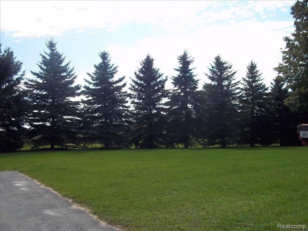 11805 Yale Road Yale, MI 48097 - Photo 20 of 24 Privacy at back of property line