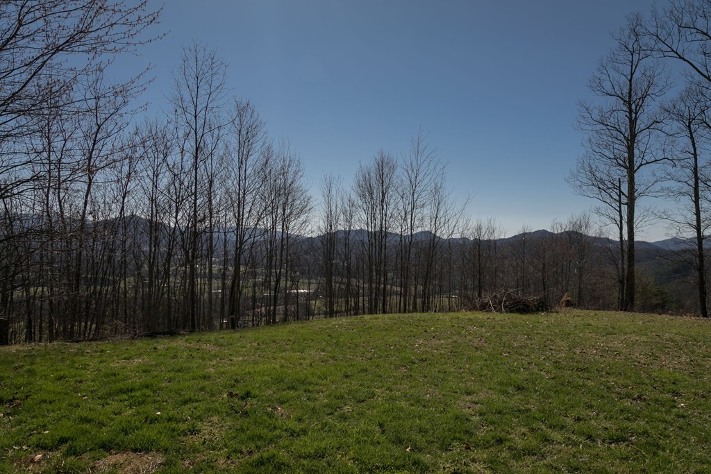 2 Which A Way Sevierville, TN 37862 - Photo 11 of 22