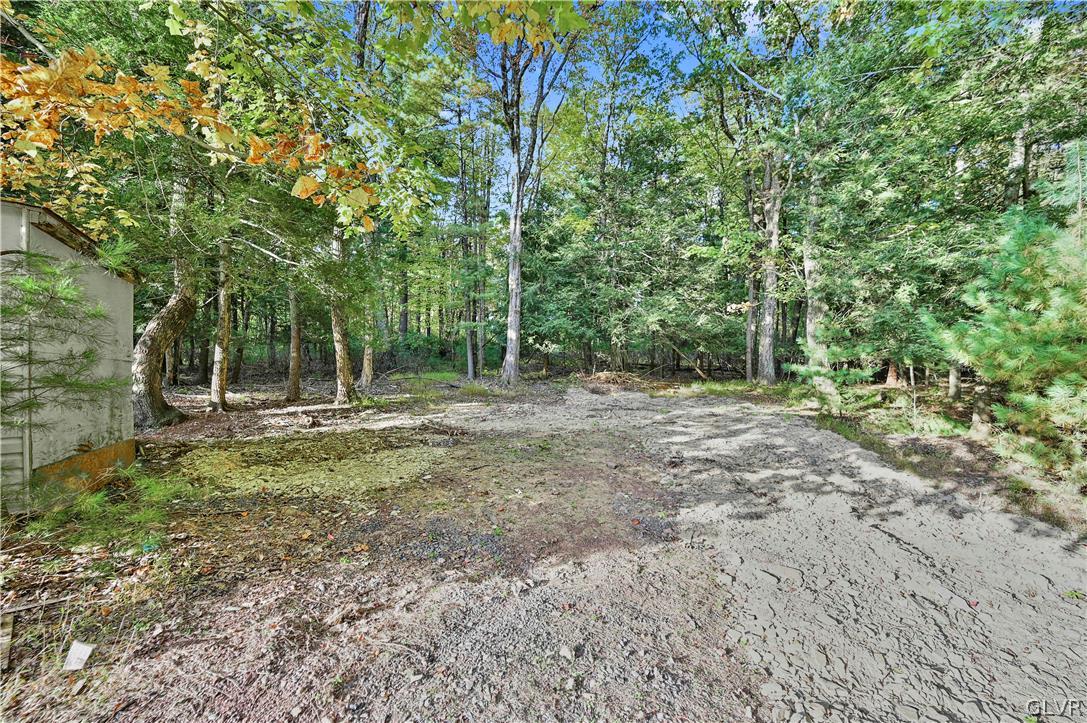 630 Long Mountain Road Effort, PA 18330 - Photo 32 of 39 Beautiful Wooded Lot