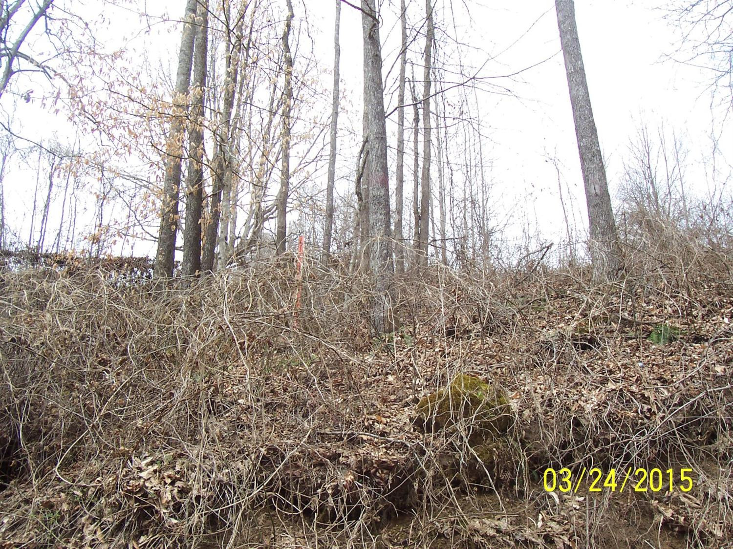 1 York Road McKee, KY 40447 - Photo 21 of 76 Photo 21
