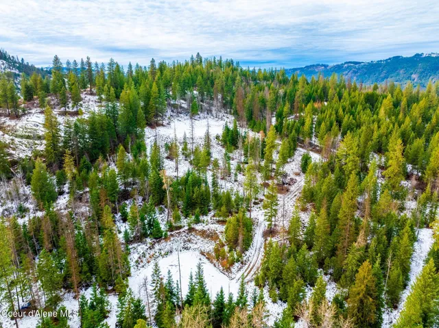 $314,900 | Lot 1 Amethyst Lane, Cocolalla, ID 83813