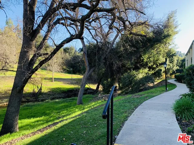 a view of a park with large trees