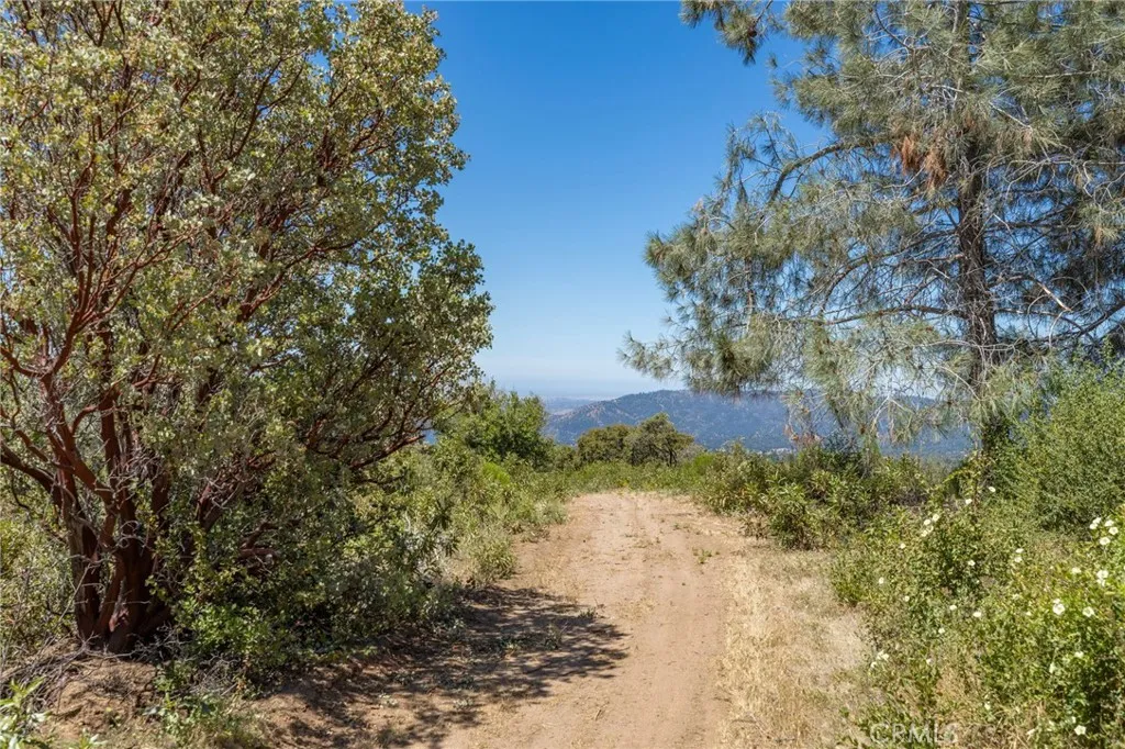 149 Old Yosemite Road Oakhurst, CA 93644 - Photo 64 of 74 Gallery Image 64