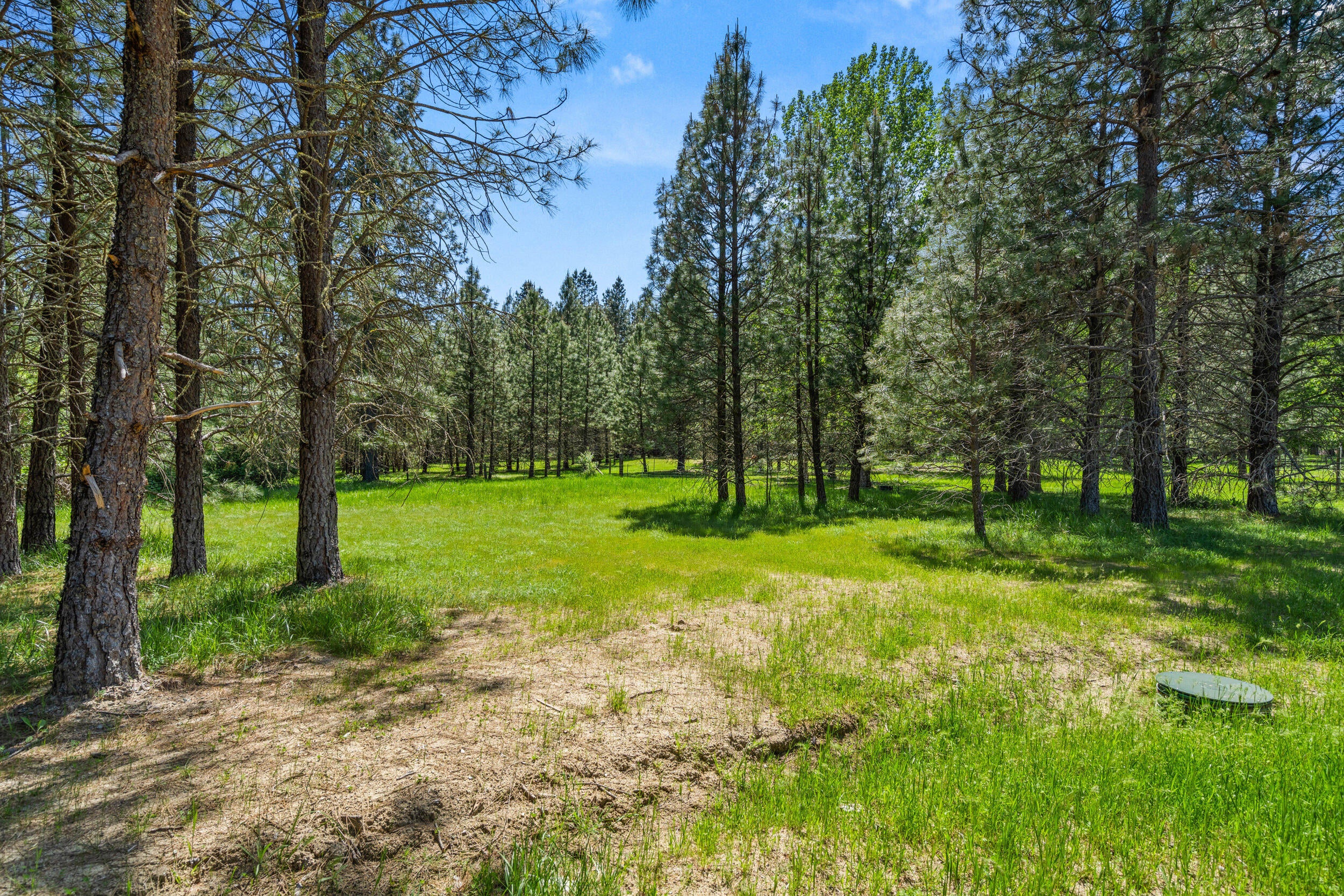 695 Minthorne Road Rogue River, OR 97537 - Photo 45 of 48 45_695 minthorne rd-29