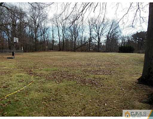 43 Poplar Road Piscataway, NJ 08854 - Photo 3 of 21 a view of a yard