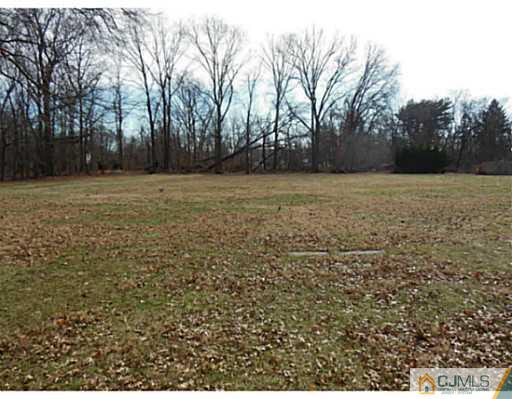 43 Poplar Road Piscataway, NJ 08854 - Photo 5 of 21 a view of a yard