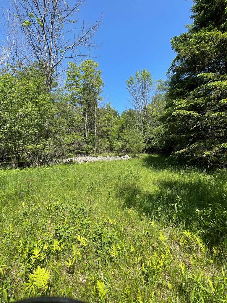 Tbd Stickney Bridge Road Jay, NY 12941 - Photo 27 of 39 Gallery Image 27
