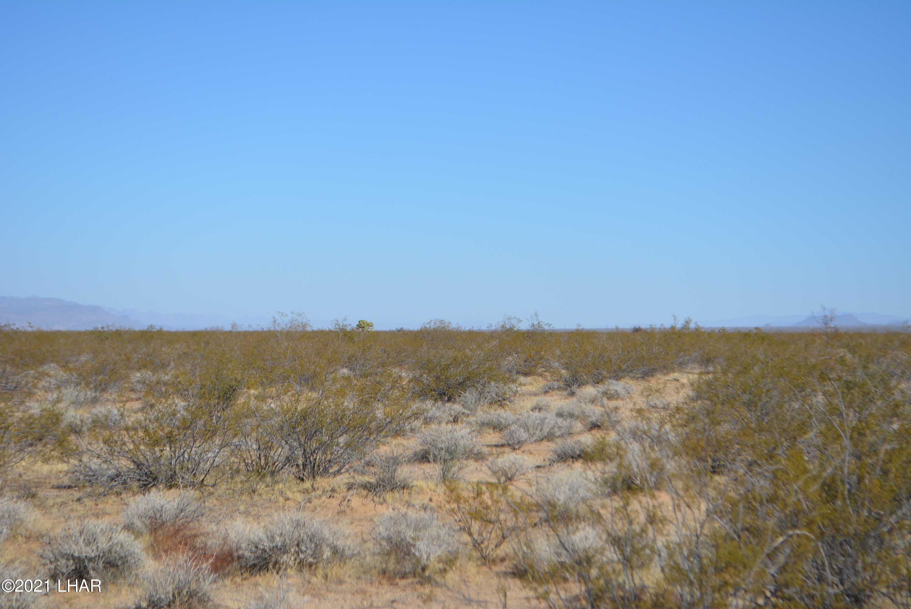 2034 South Butch Cassidy Road Yucca, AZ 86438 - Photo 15 of 29 DSC_0610