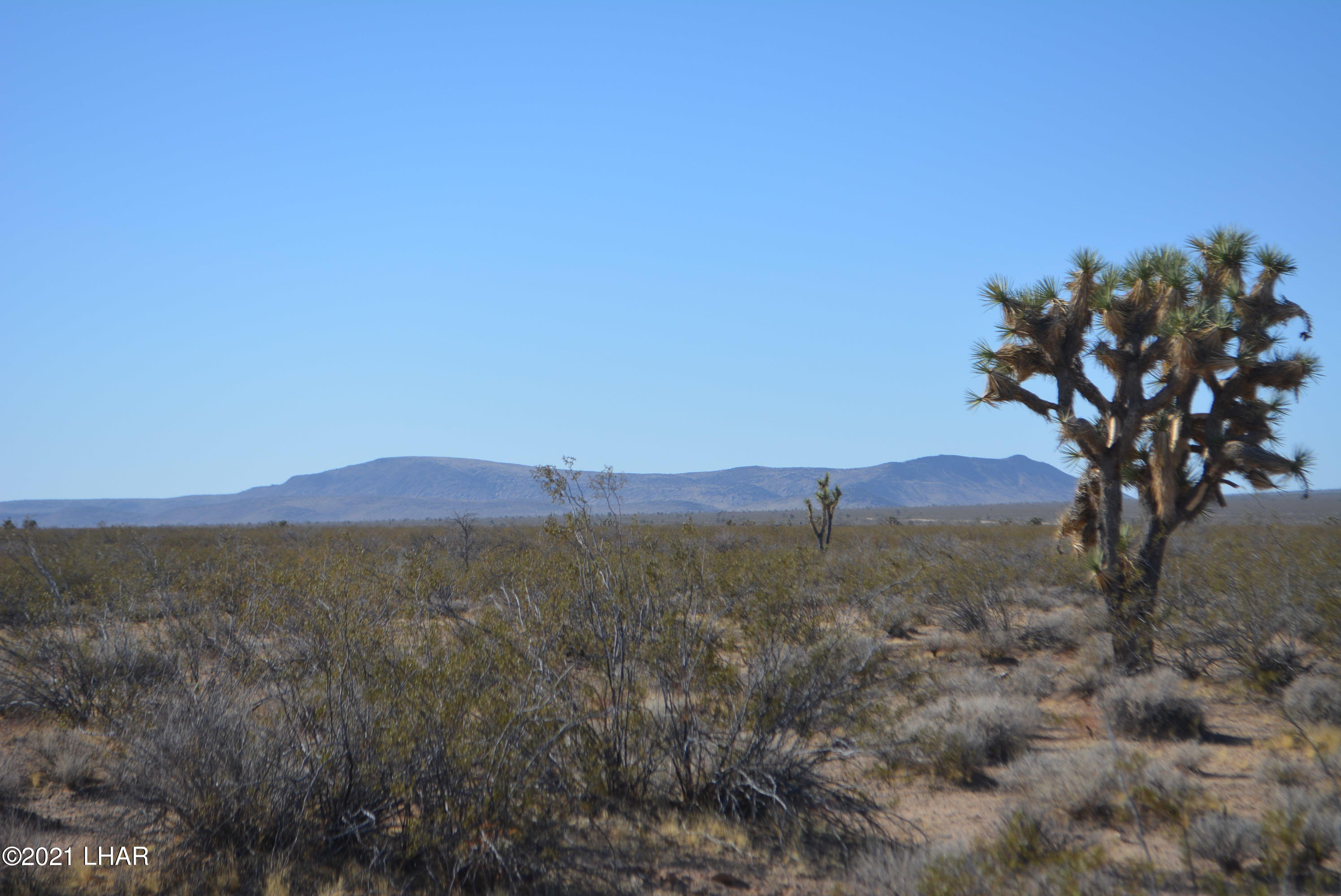 2034 South Butch Cassidy Road Yucca, AZ 86438 - Photo 2 of 29 DSC_0597