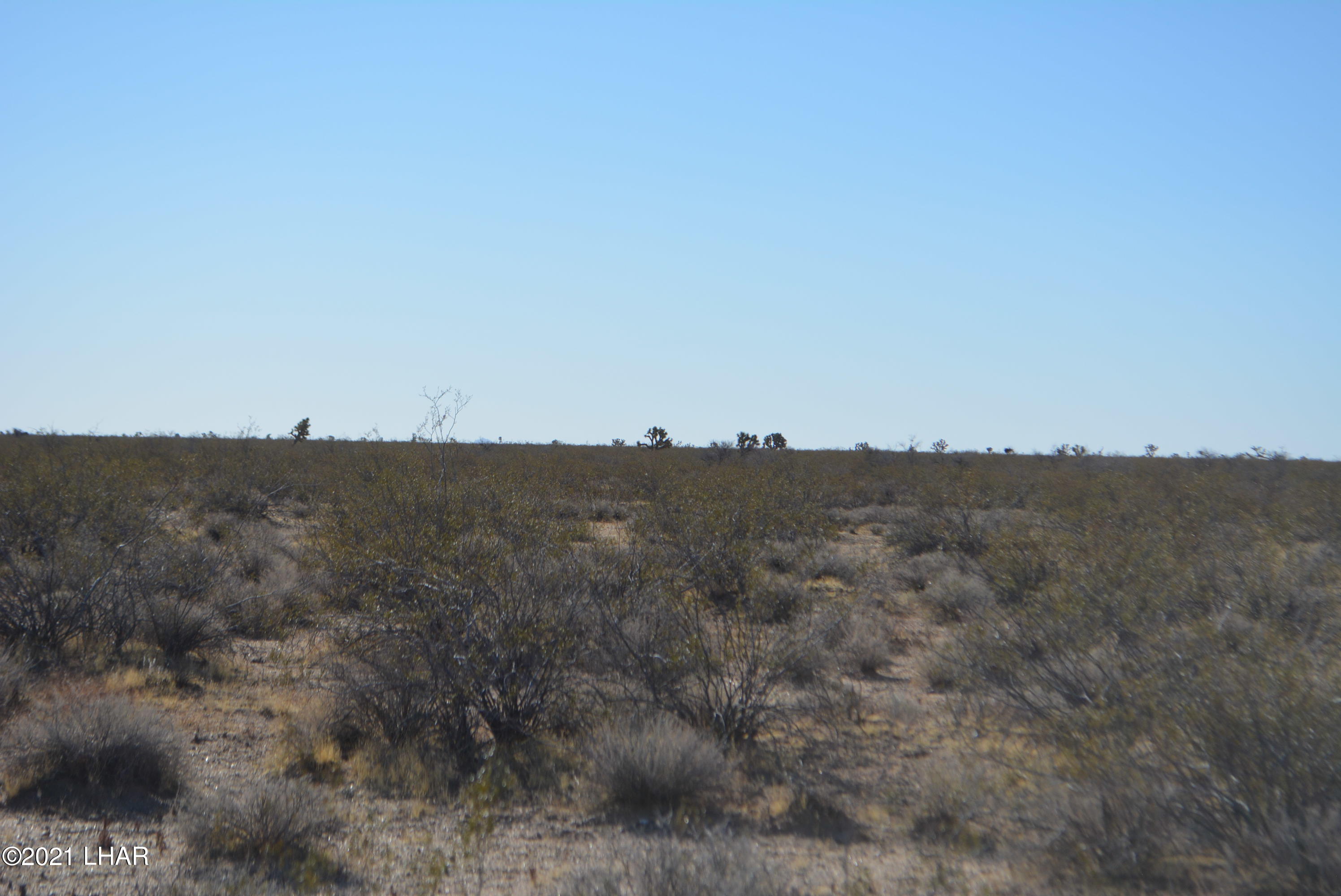 2034 South Butch Cassidy Road Yucca, AZ 86438 - Photo 27 of 29 DSC_0622