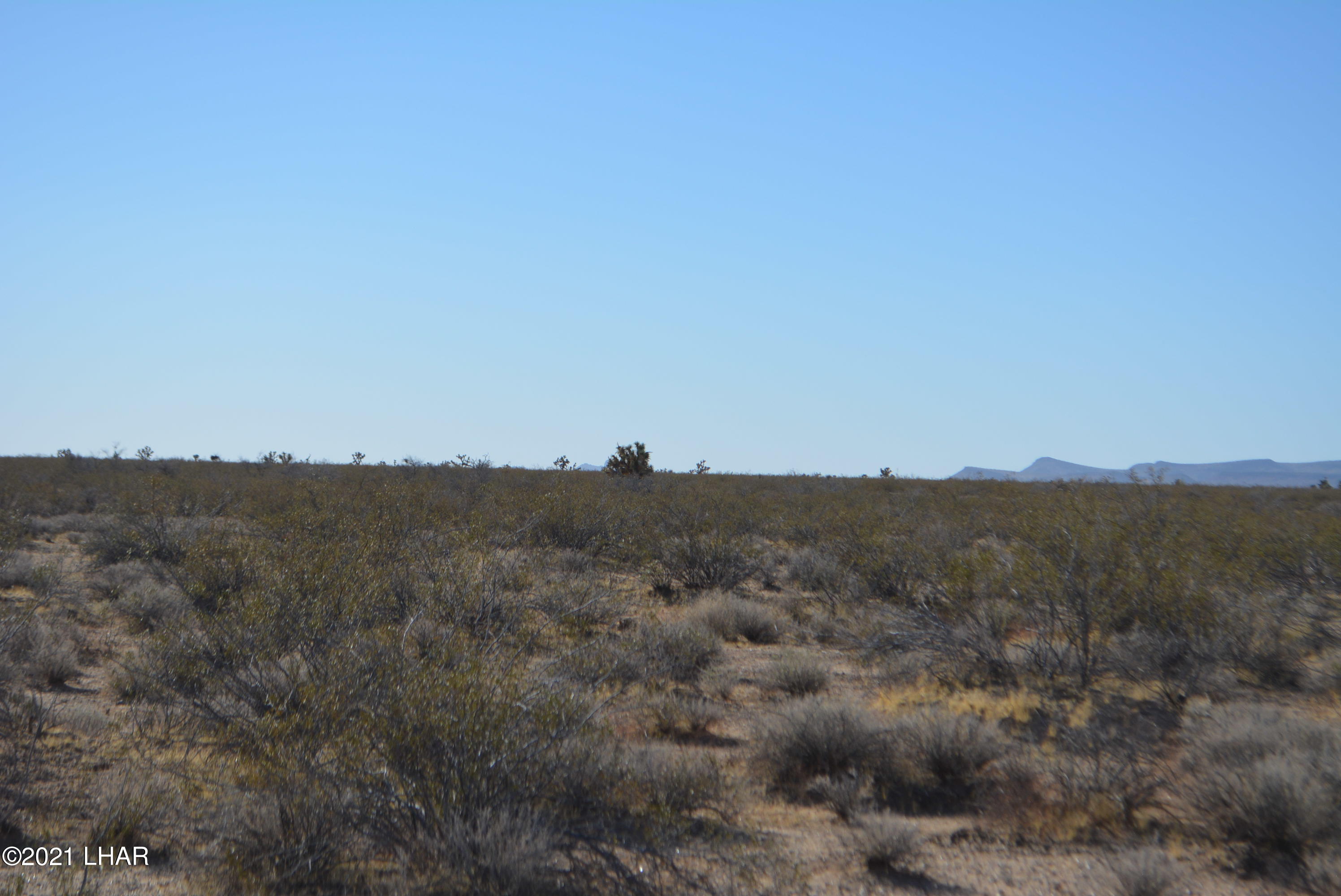 2034 South Butch Cassidy Road Yucca, AZ 86438 - Photo 28 of 29 DSC_0623