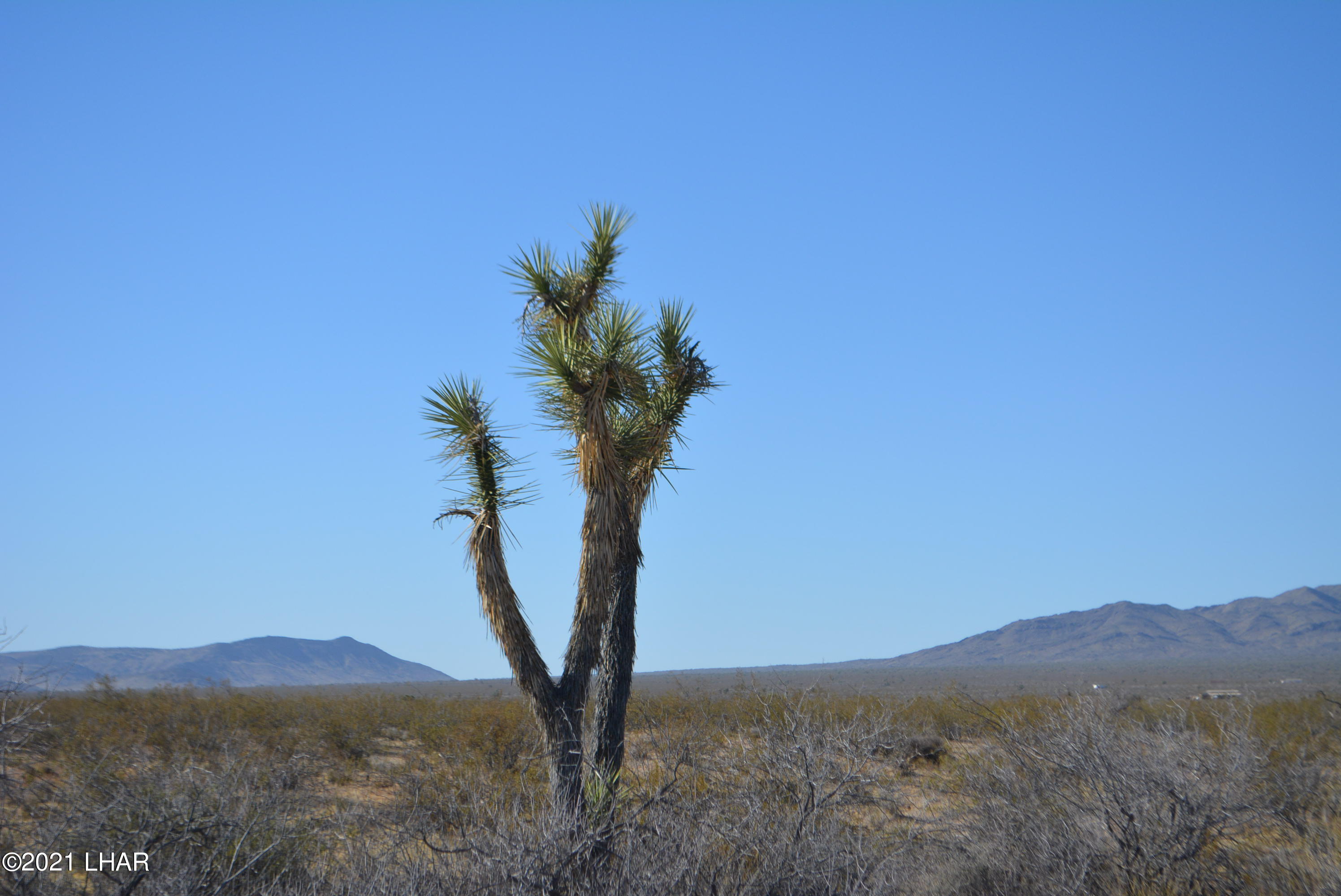 2034 South Butch Cassidy Road Yucca, AZ 86438 - Photo 29 of 29 DSC_0625