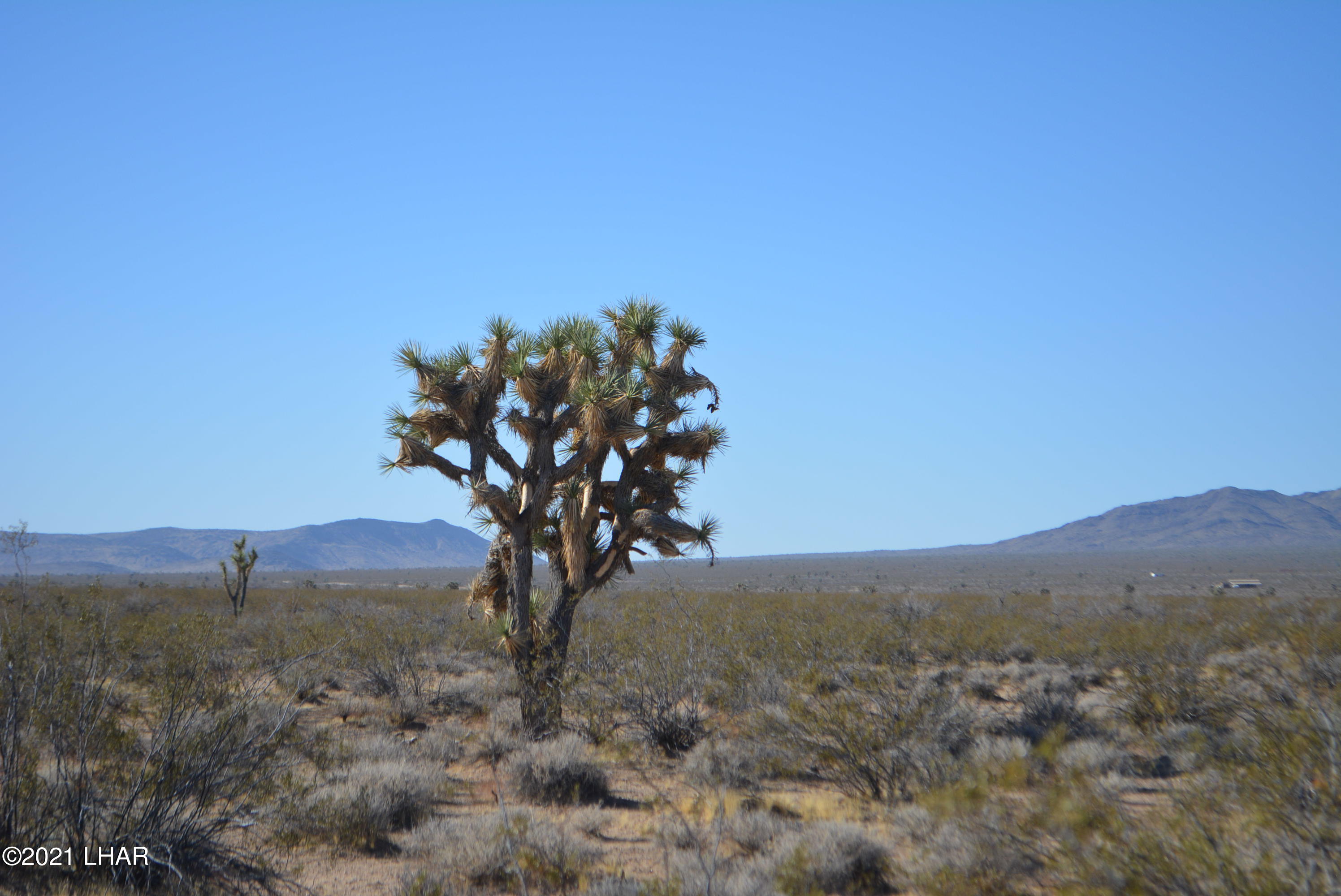 2034 South Butch Cassidy Road Yucca, AZ 86438 - Photo 3 of 29 DSC_0598