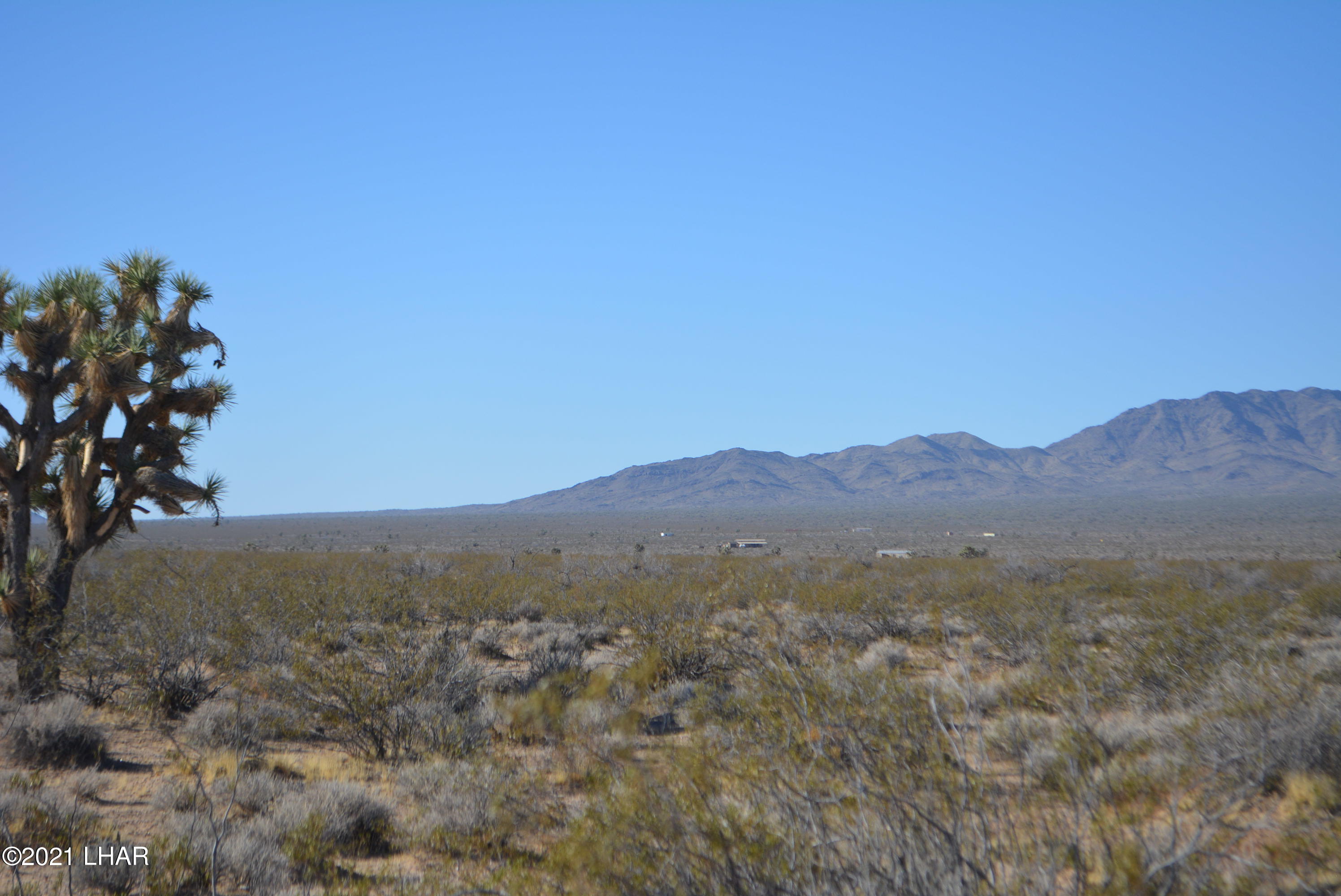 2034 South Butch Cassidy Road Yucca, AZ 86438 - Photo 4 of 29 DSC_0599