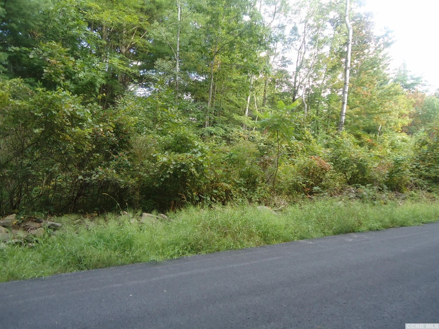 0 Mccafferty Road Durham, NY 12423 - Photo 2 of 3 Photo 2