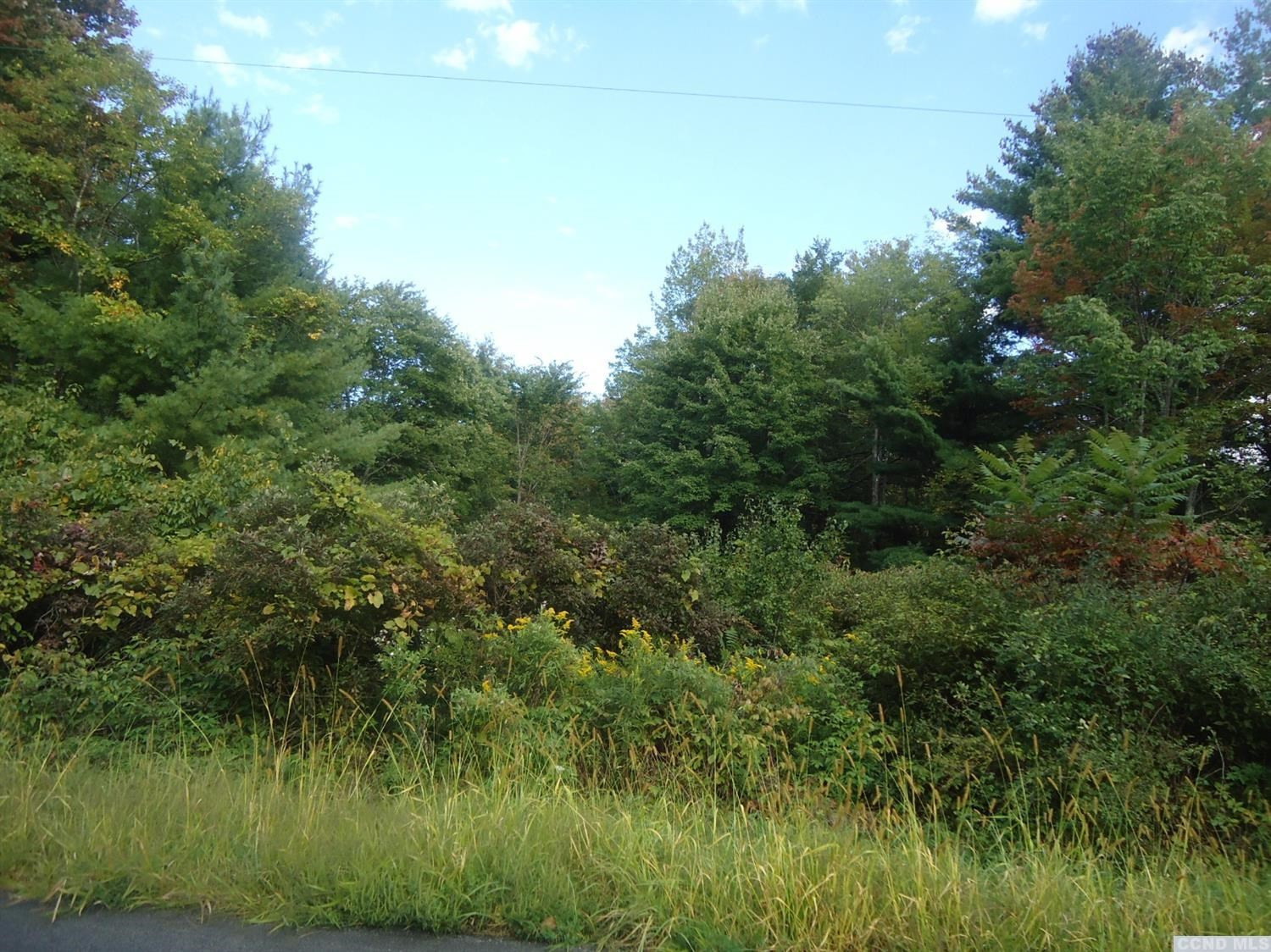 0 Mccafferty Road Durham, NY 12423 - Photo 3 of 3 Photo 3