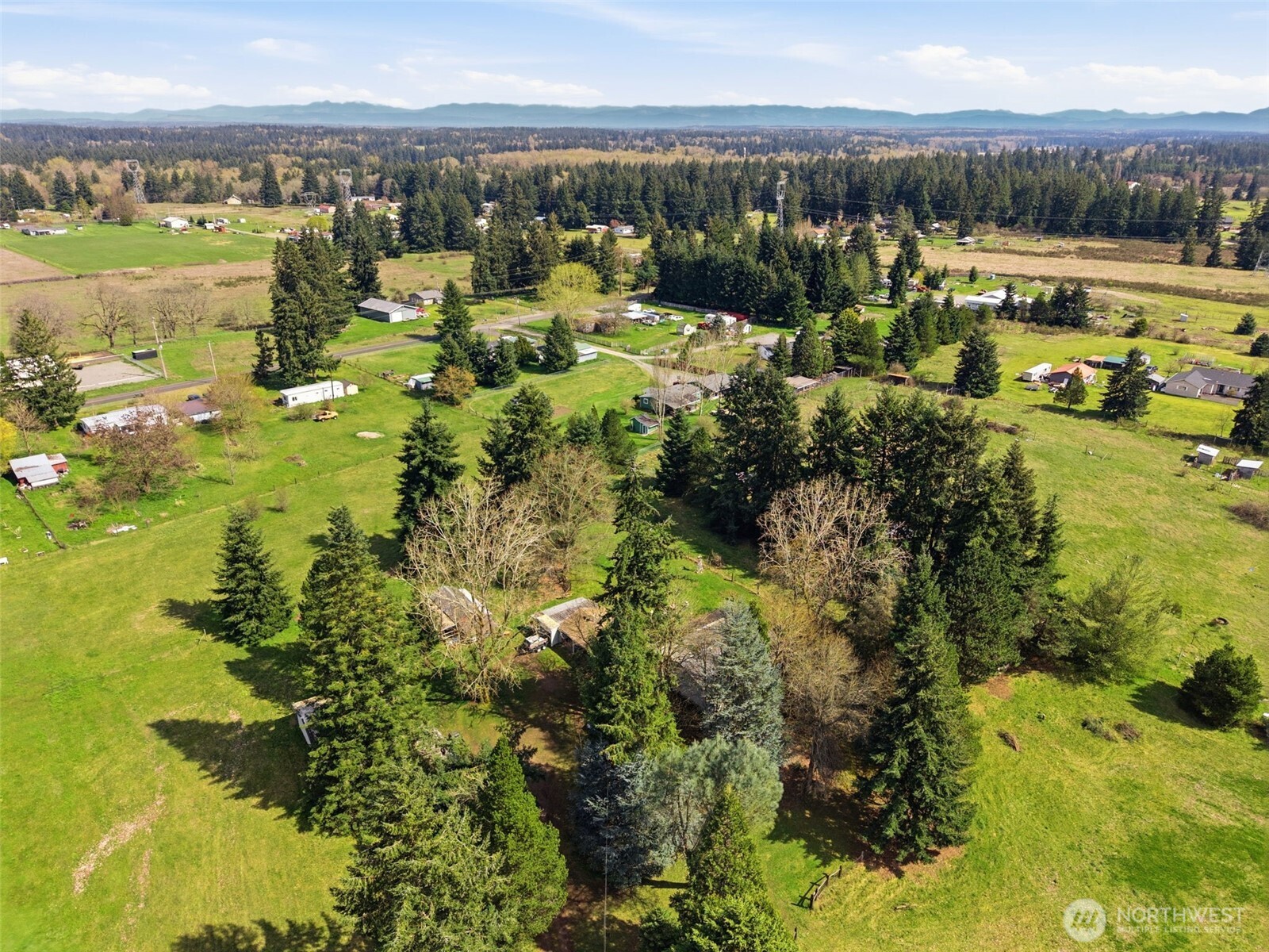 10022 Grove Road Southeast Yelm, WA 98597 - Photo 15 of 30