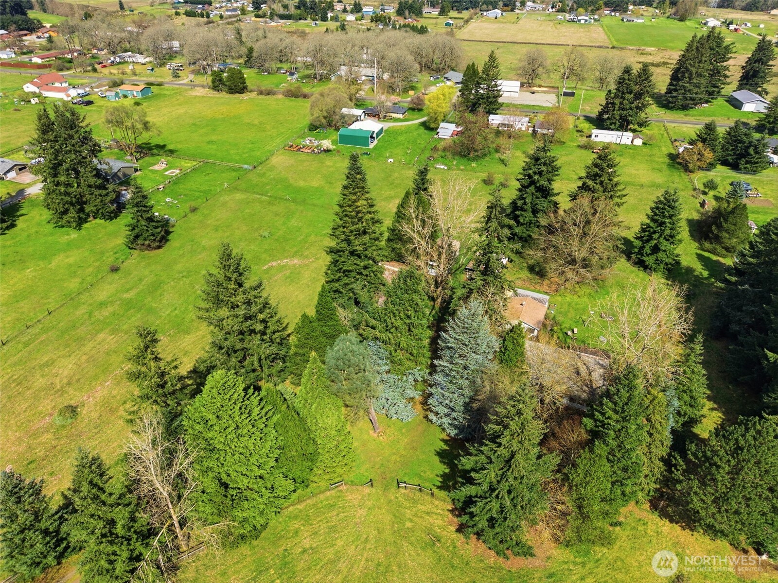 10022 Grove Road Southeast Yelm, WA 98597 - Photo 16 of 30