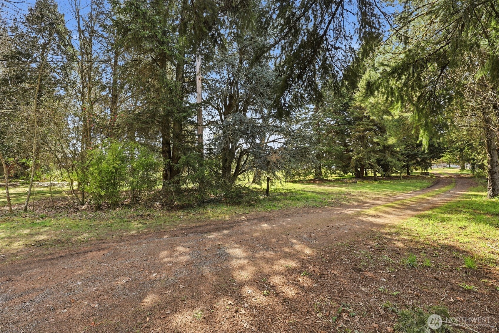 10022 Grove Road Southeast Yelm, WA 98597 - Photo 10 of 30