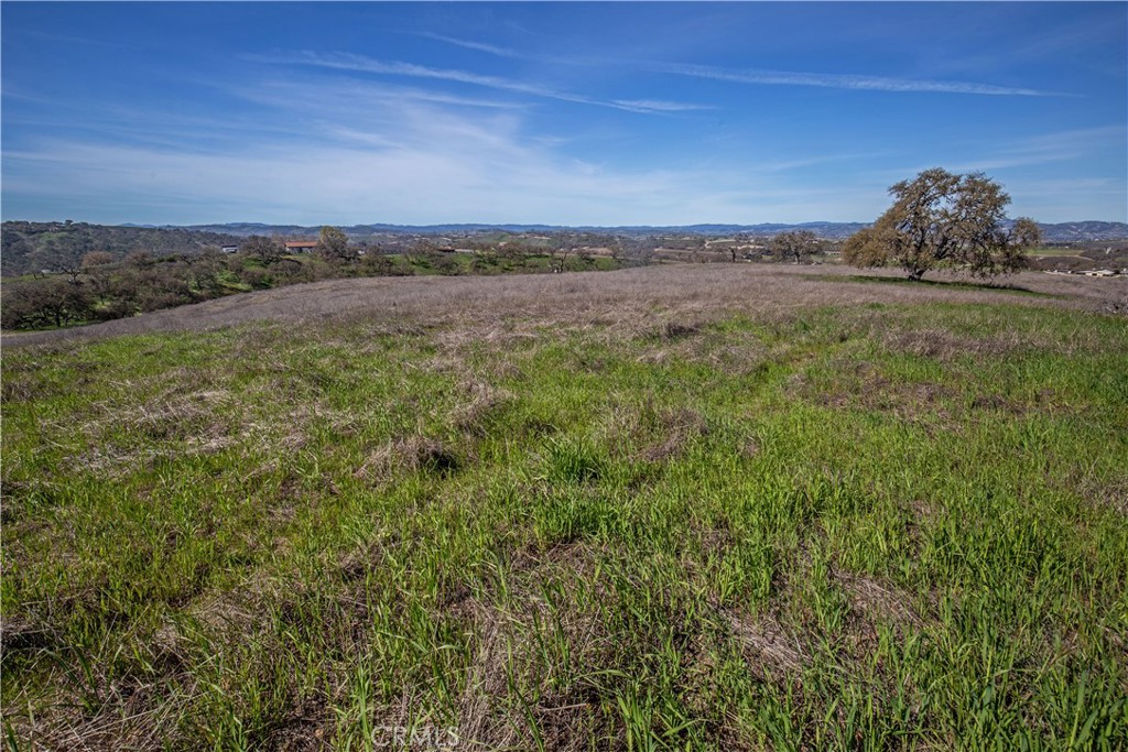 930 Windwood Road Paso Robles, CA 93446 - Photo 17 of 67 a view of a field with an ocean and trees in the background