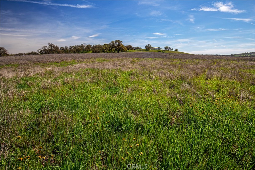 930 Windwood Road Paso Robles, CA 93446 - Photo 18 of 67
