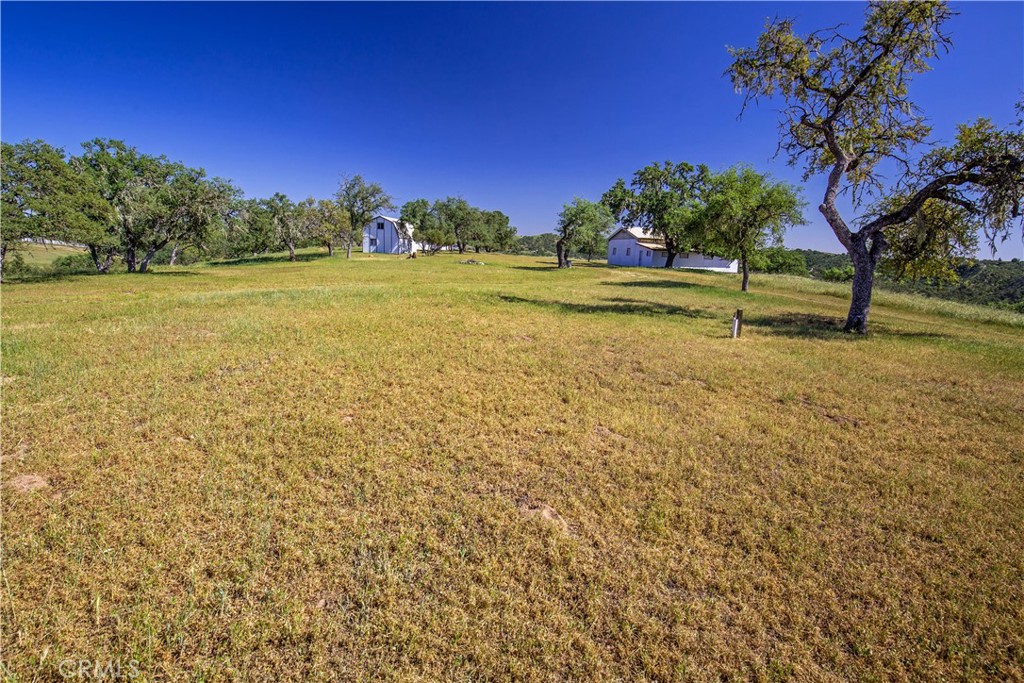 930 Windwood Road Paso Robles, CA 93446 - Photo 2 of 67 a view of a trees with a yard