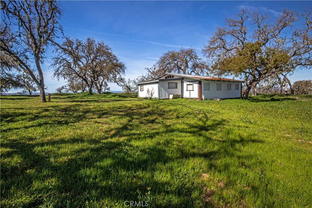 930 Windwood Road Paso Robles, CA 93446 - Photo 24 of 67 a view of a big yard with plants and large trees