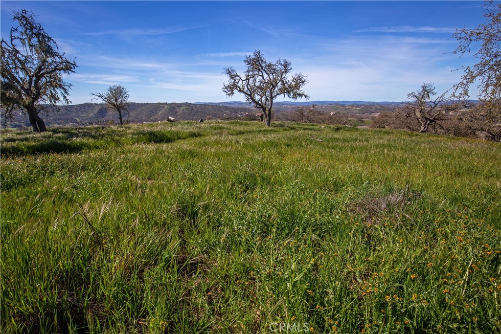 930 Windwood Road Paso Robles, CA 93446 - Photo 27 of 67