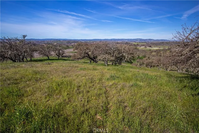a view of a field with an ocean