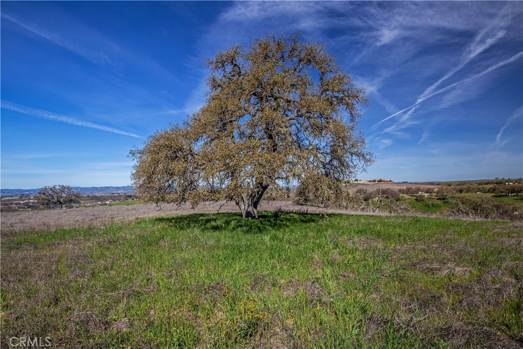 930 Windwood Road Paso Robles, CA 93446 - Photo 31 of 67 a backyard of a house with lots of green space