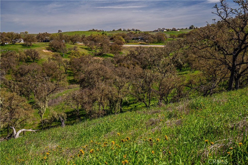 930 Windwood Road Paso Robles, CA 93446 - Photo 35 of 67 a view of a field with an ocean